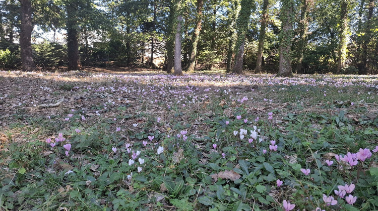 Ma-Cabane - Vente Terrain Chambray-lès-Tours, 6412 m²