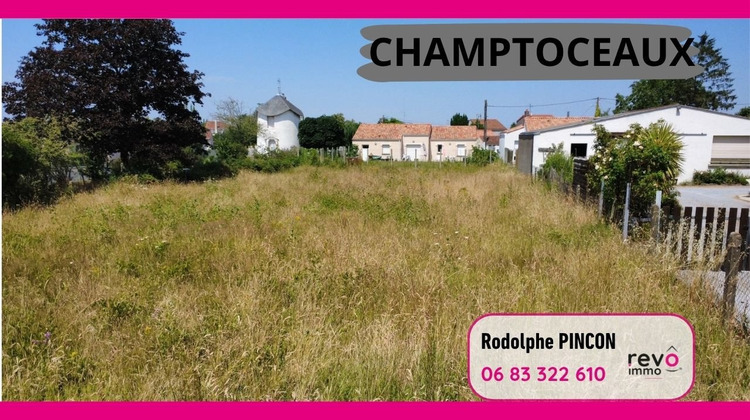 Ma-Cabane - Vente Terrain CHAMPTOCEAUX, 787 m²