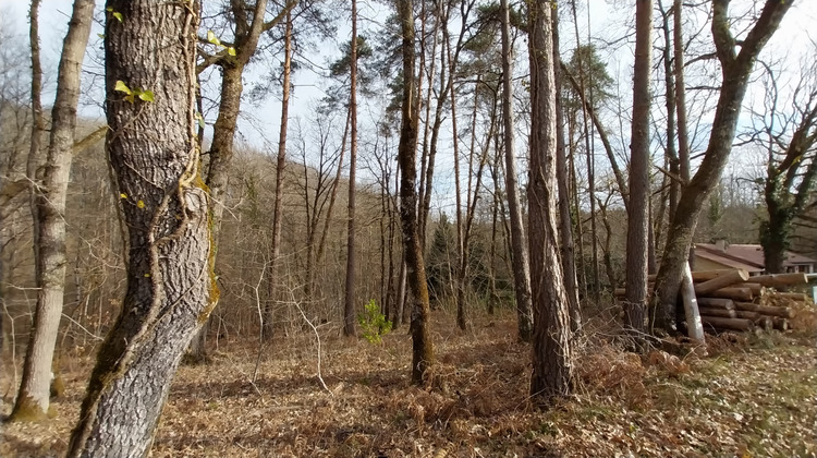 Ma-Cabane - Vente Terrain Chancelade, 3493 m²