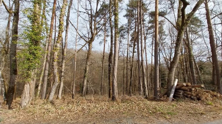 Ma-Cabane - Vente Terrain Chancelade, 3493 m²