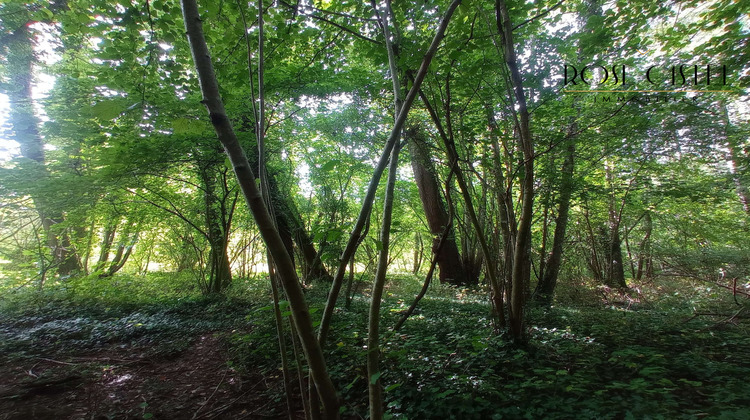 Ma-Cabane - Vente Terrain Chartres, 4800 m²