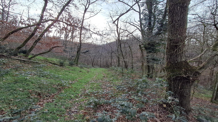 Ma-Cabane - Vente Terrain Chasselay, 2330 m²