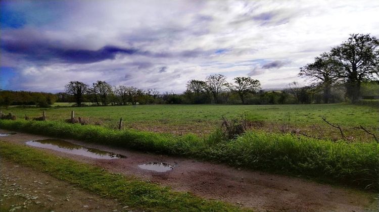 Ma-Cabane - Vente Terrain CHASSENON, 10000 m²