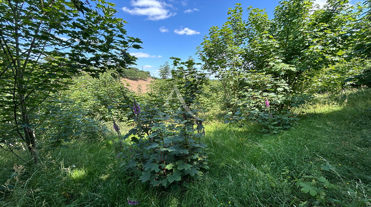 Ma-Cabane - Vente Terrain CHATEAU-GONTIER, 2498 m²