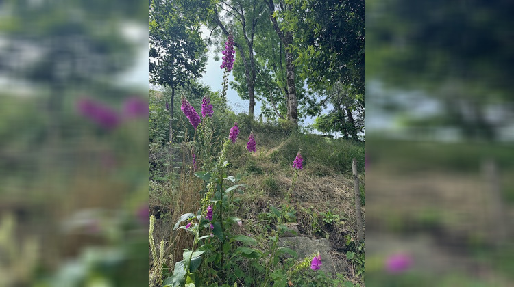 Ma-Cabane - Vente Terrain Château-Guibert, 1133 m²