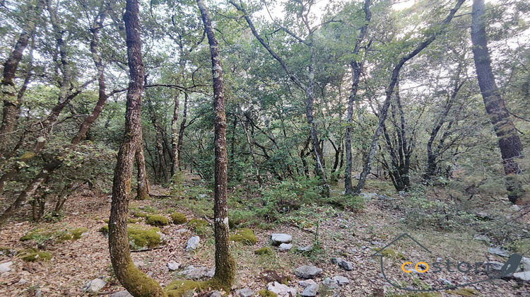 Ma-Cabane - Vente Terrain Châteaudouble, 2430 m²