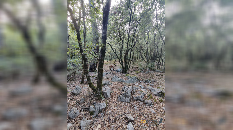 Ma-Cabane - Vente Terrain Châteaudouble, 2430 m²