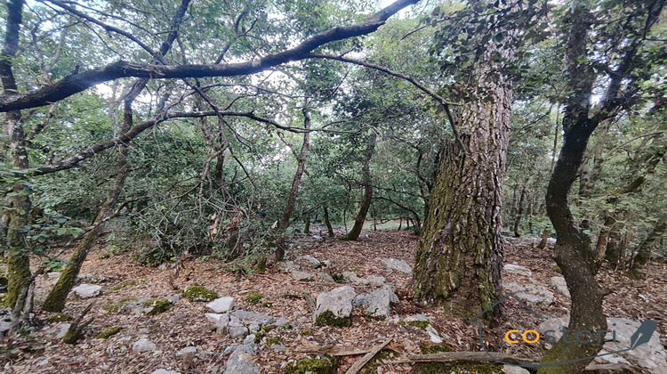 Ma-Cabane - Vente Terrain Châteaudouble, 2430 m²