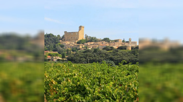 Ma-Cabane - Vente Terrain CHATEAUNEUF-DU-PAPE, 1950 m²