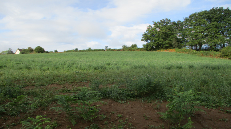 Ma-Cabane - Vente Terrain Châteauneuf-la-Forêt, 2622 m²