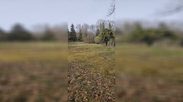 Ma-Cabane - Vente Terrain Châteauneuf-la-Forêt, 2848 m²