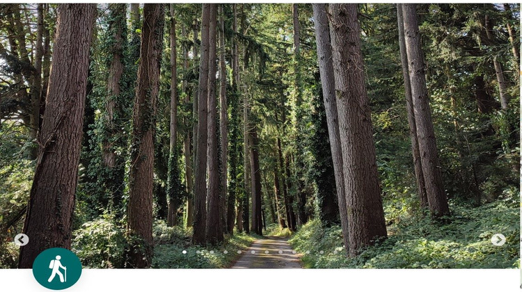 Ma-Cabane - Vente Terrain Châteauneuf-la-Forêt, 2005 m²