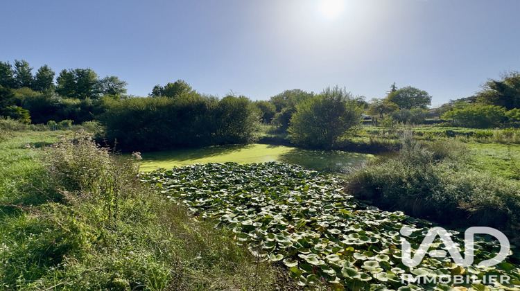 Ma-Cabane - Vente Terrain Châteauneuf-sur-Charente, 2564 m²