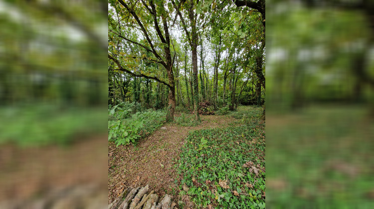 Ma-Cabane - Vente Terrain CHATILLON-SUR-CHER, 7000 m²