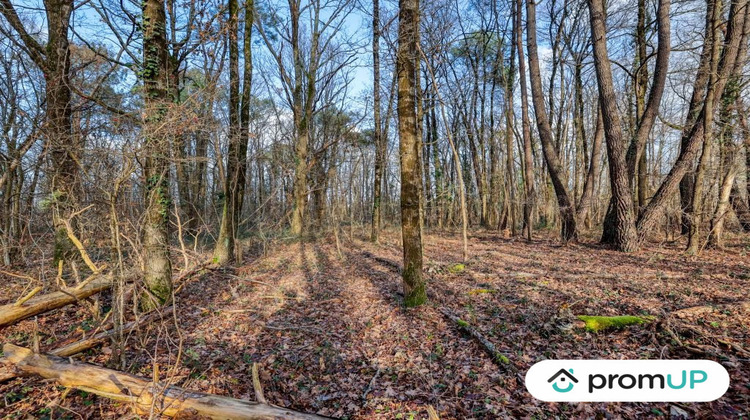 Ma-Cabane - Vente Terrain Châtillon-sur-Cher, 770 m²