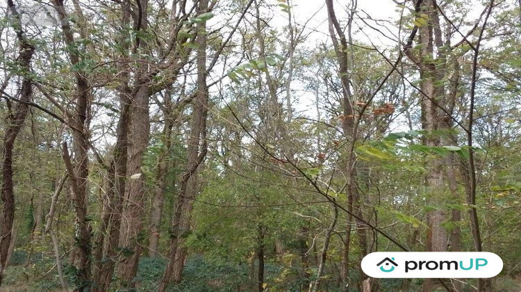 Ma-Cabane - Vente Terrain Châtillon-sur-Cher, 5570 m²