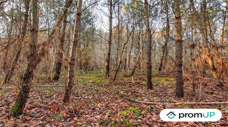 Ma-Cabane - Vente Terrain Châtillon-sur-Cher, 1595 m²