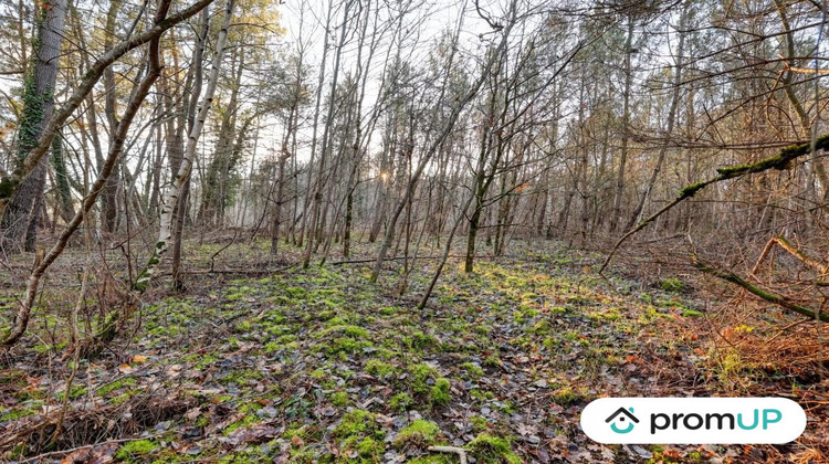 Ma-Cabane - Vente Terrain Châtillon-sur-Cher, 1595 m²