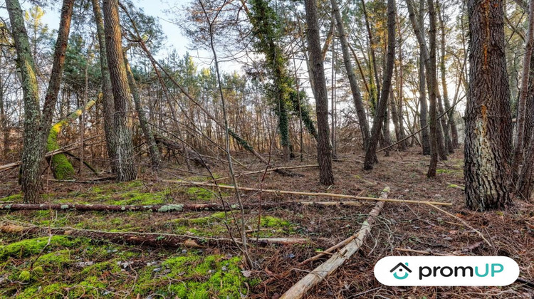 Ma-Cabane - Vente Terrain Châtillon-sur-Cher, 1595 m²