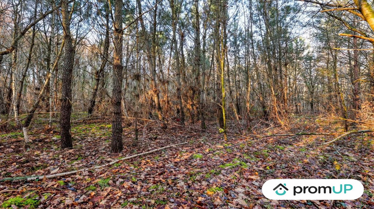 Ma-Cabane - Vente Terrain Châtillon-sur-Cher, 1595 m²