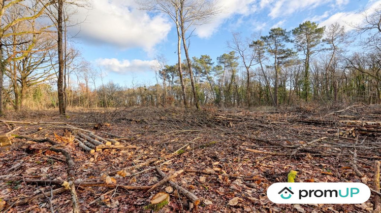 Ma-Cabane - Vente Terrain Châtillon-sur-Cher, 3925 m²