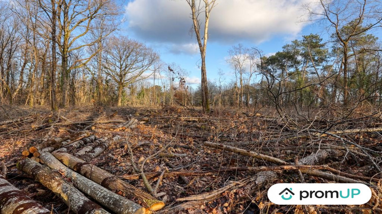 Ma-Cabane - Vente Terrain Châtillon-sur-Cher, 3925 m²