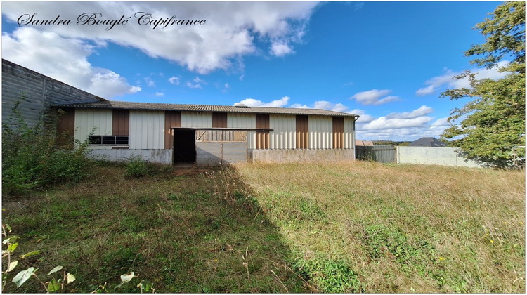 Ma-Cabane - Vente Terrain CHATRES LA FORET, 7059 m²