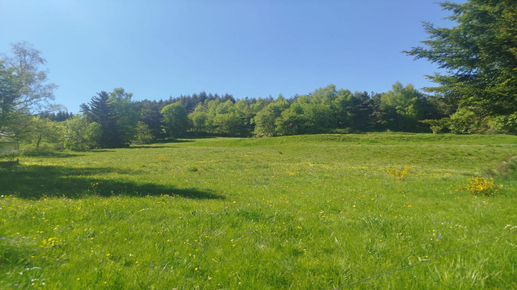 Ma-Cabane - Vente Terrain CHAUDEYRAC, 6438 m²