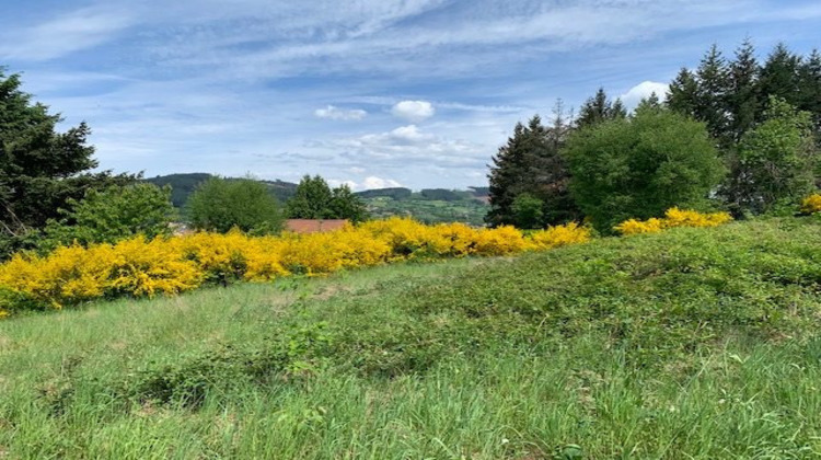 Ma-Cabane - Vente Terrain Chauffailles, 1679 m²