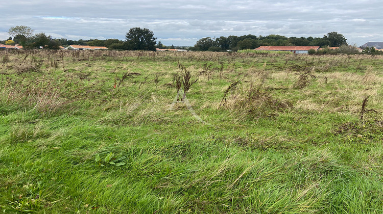 Ma-Cabane - Vente Terrain CHAVAGNES-EN-PAILLERS, 537 m²