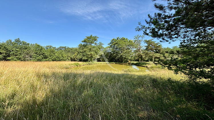 Ma-Cabane - Vente Terrain CHEMERY, 6612 m²