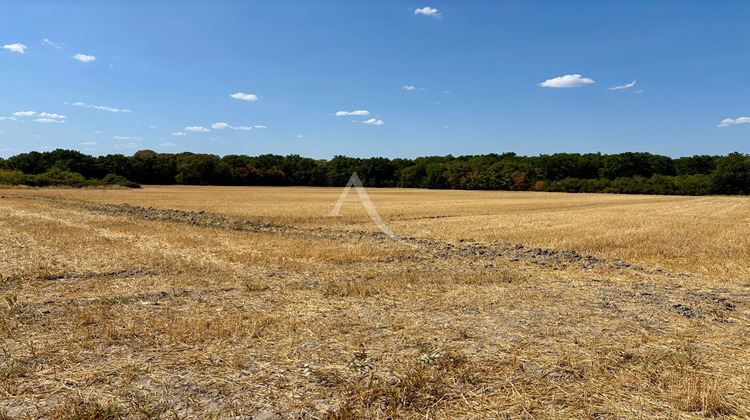 Ma-Cabane - Vente Terrain CHEMERY, 15517 m²