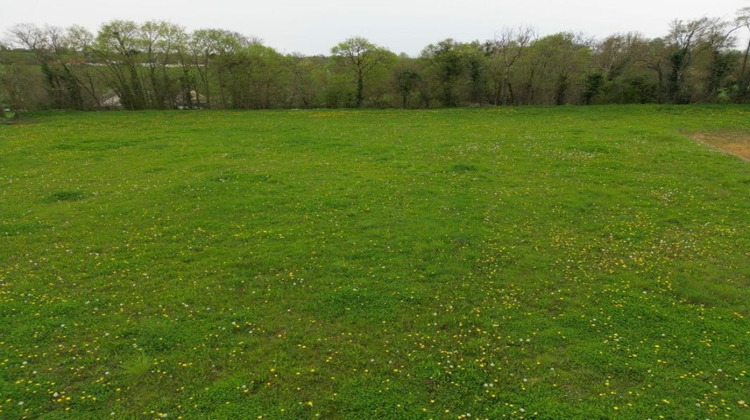 Ma-Cabane - Vente Terrain CHEMIRE LE GAUDIN, 0 m²