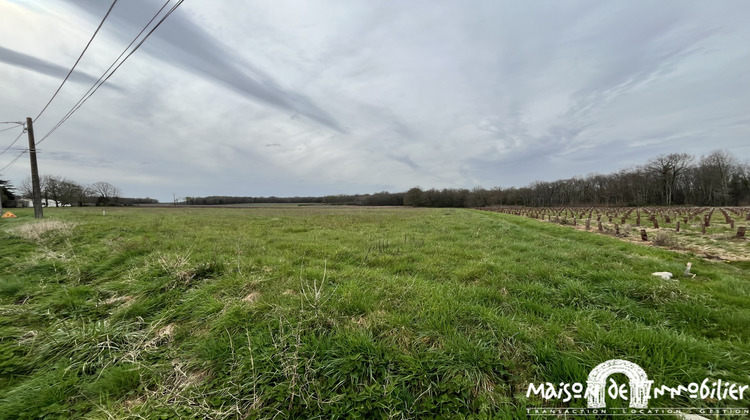 Ma-Cabane - Vente Terrain Chérac, 1092 m²