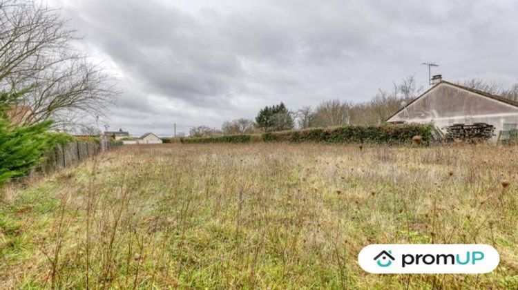 Ma-Cabane - Vente Terrain Cheverny, 2373 m²