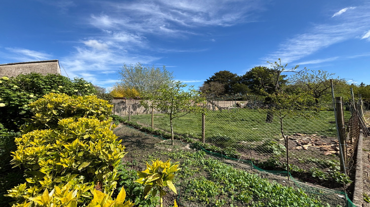 Ma-Cabane - Vente Terrain CHEVILLY, 914 m²
