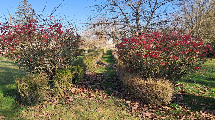 Ma-Cabane - Vente Terrain Chevilly, 1484 m²