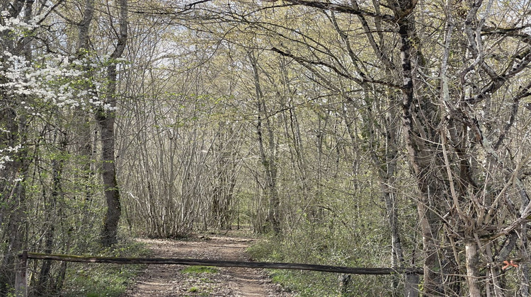 Ma-Cabane - Vente Terrain CHEZAL-BENOIT, 81490 m²