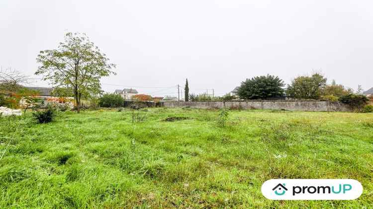 Ma-Cabane - Vente Terrain Chinon, 1510 m²