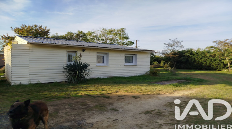 Ma-Cabane - Vente Terrain Chinon, 3910 m²