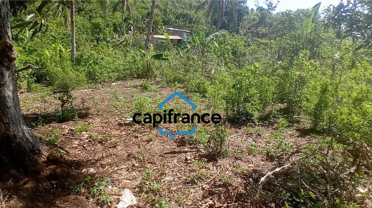 Ma-Cabane - Vente Terrain CHIRONGUI, 596 m²