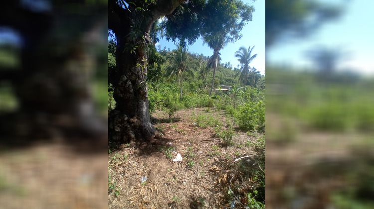 Ma-Cabane - Vente Terrain CHIRONGUI, 596 m²