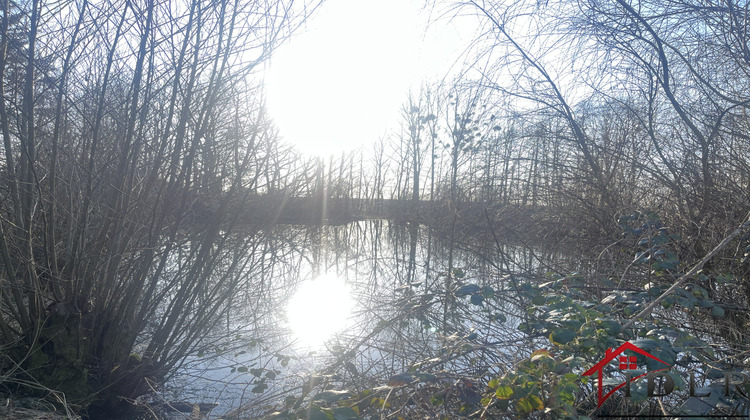 Ma-Cabane - Vente Terrain Choiseul, 6600 m²