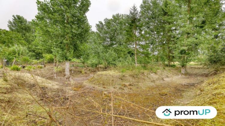 Ma-Cabane - Vente Terrain Chouppes, 6000 m²