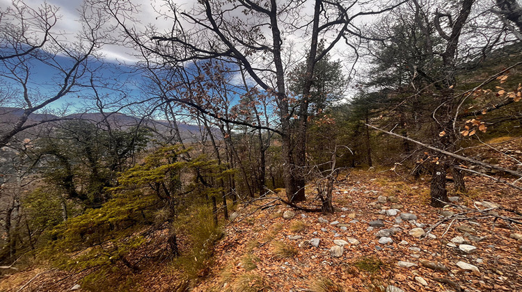 Ma-Cabane - Vente Terrain CLANS, 8110 m²