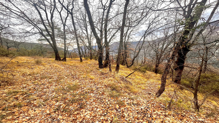 Ma-Cabane - Vente Terrain CLANS, 8110 m²