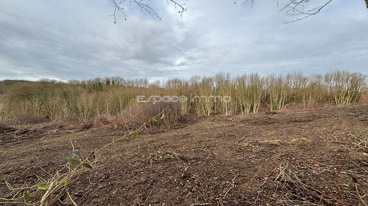 Ma-Cabane - Vente Terrain CLERES, 6964 m²