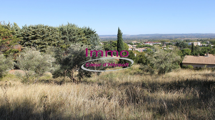 Ma-Cabane - Vente Terrain CLERMONT L'HERAULT, 377 m²