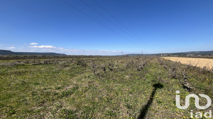 Ma-Cabane - Vente Terrain Codolet, 3345 m²