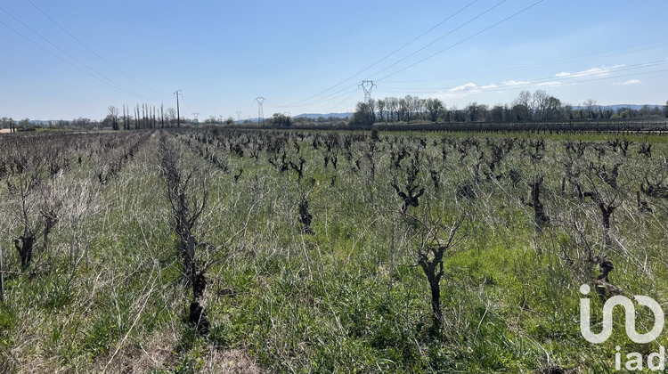 Ma-Cabane - Vente Terrain Codolet, 2667 m²